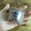 [충남 공주] 공주 여행 온 사람은 모두 하나씩 들고 다니는, 부자떡집, 알밤 모찌 후기