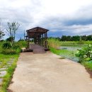 남생이못 습지생태 관찰원 이미지