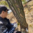 주식회사 동방아그로 네이버블로그
