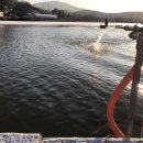 신애낚시터 이미지