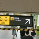 상달 | 망원 케이크 맛집 리브인오후 망고코코넛보틀 완두완두치즈케이크 내돈내산 솔직후기 상달 원픽 망고 원픽