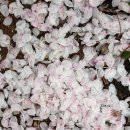 도선장유통 이미지