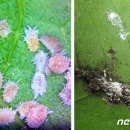 태전농장 이미지