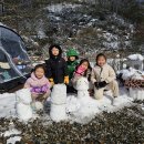 성수산 왕의숲 국민여가캠핑장 이미지