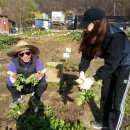 서림동-22 이미지