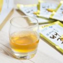 산호농장 이미지