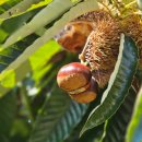 장사농장 이미지