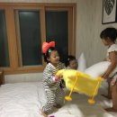 고니카페 이미지