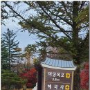 새재식당