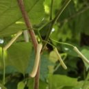 이가형제농장 이미지