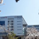 대지
