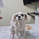 학산동물병원 이미지