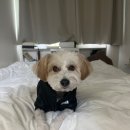 멍품유치원 이미지