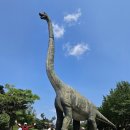 장타 골퍼들에게 희소식, 고품격 가산수피아파크골프장 7월 초 개장 이미지