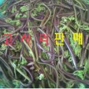 장전서당골 영농조합법인 이미지