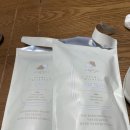 내돈내산 사백밀티 후기, 부천 밀크티 맛집 백금당 추천