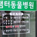 샘터동물병원 이미지