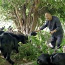 진 한방 흑염소 이미지