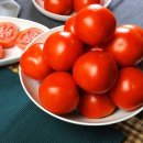 토마토 이미지