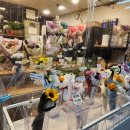호랭이꽃집 - 성동구 아차산로 18 | 호랭이꽃집
