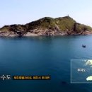 제주 사수도 바닷새류(흑비둘기 슴새)번식지 | 사수도(장수도)