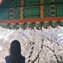 판암근린공원 이미지