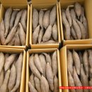 광준농장 이미지