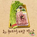 법인나주애인