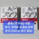 블루션 | 콜레스타 MSQ 리얼 후기, 부작용 및 효능 완벽 분석