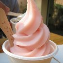 [학점은행제] 사회학개론 이미지