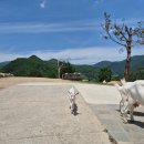 일석목장 이미지