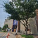 밀밭과자점 이미지