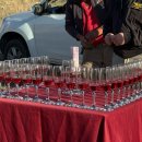 스마일바스켓 | 터키 패키지여행 3일차｜카파도키아 열기구 성공 후기 &amp; 안탈리아 이동(조태훈 가이드님 후기 포함)