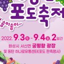 송산포도나라
