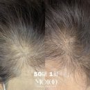 브로우기프트