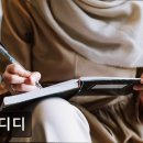 카페디디디
