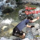 케이디피
