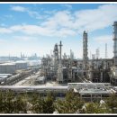 (주)디에스바이오 이미지