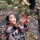 정우농원 이미지