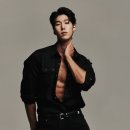 소프트 실버타입 이미지