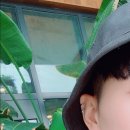 비지니스호텔 마이홈 이미지