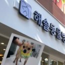 해솔동물병원 이미지
