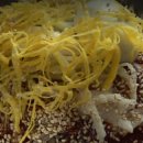 멧돌방식당 이미지