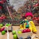 월계농장 | 이마트 문화센터 월계점 애기똥풀, 6개월 아기와 다녀본 가을학기
