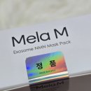 홈케어 이레인터내셔널 멜라엠 엑소좀 NMN마스크팩