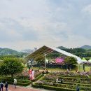 장미공연장 이미지