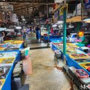 부산활어 이미지