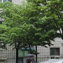 금숙이네 - 6220 | 금숙이네
