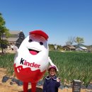 주아목장 이미지