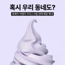 라벤더 | 폴바셋 라벤더 아이스크림 내돈내산 후기 (판매매장 , 판매기간 , 가격 , 맛)